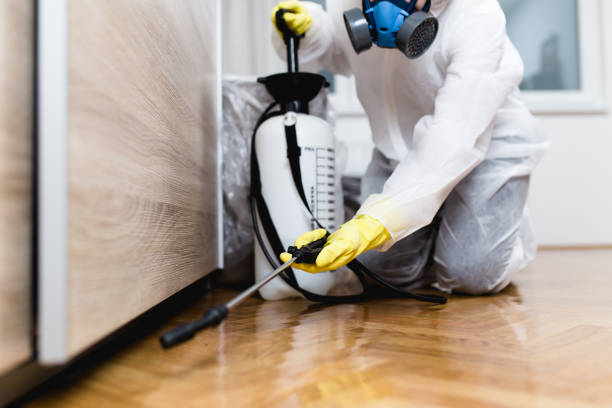 Best Bed Bug Extermination  in Channelview, TX