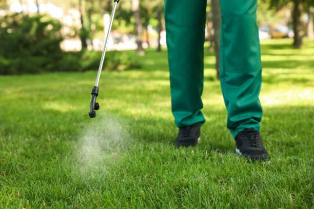 Flea Control Services in Channelview, TX