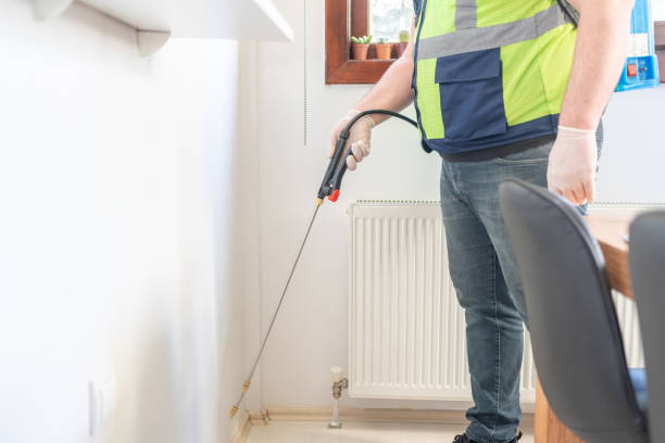 Trusted Channelview, TX Pest Control Experts