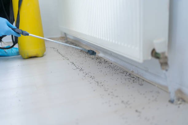 Pest Control Cost in Channelview, TX