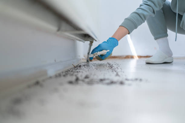 Best Best Pest Control Companies  in Channelview, TX